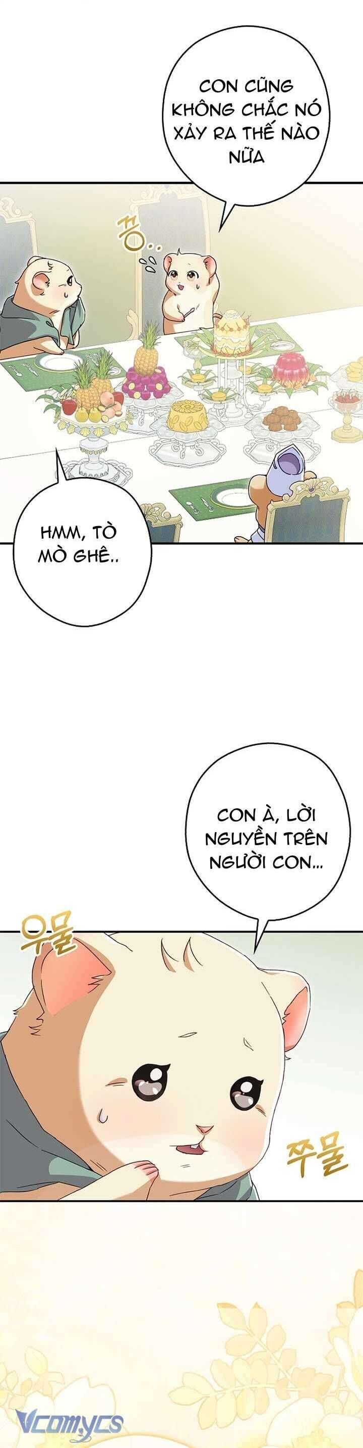 Chuột Đồng Này Sẽ Đưa Lọ Lem Đi Chap 6 - Next Chap 7