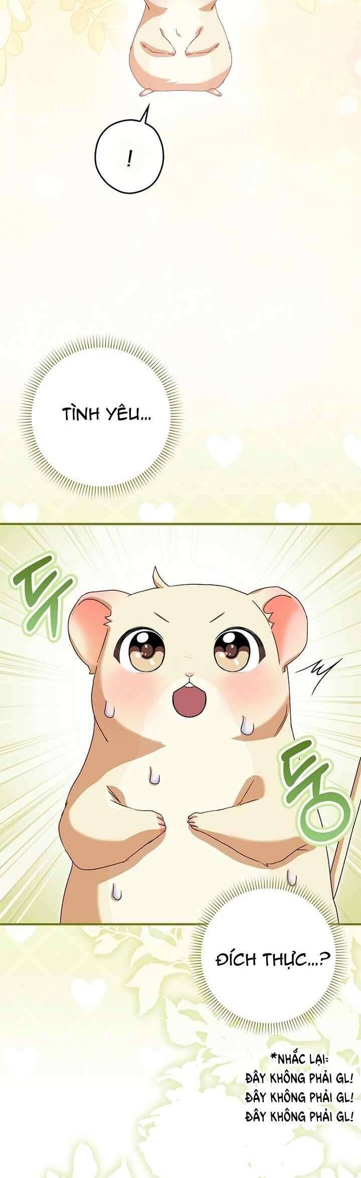 Chuột Đồng Này Sẽ Đưa Lọ Lem Đi Chap 6 - Next Chap 7