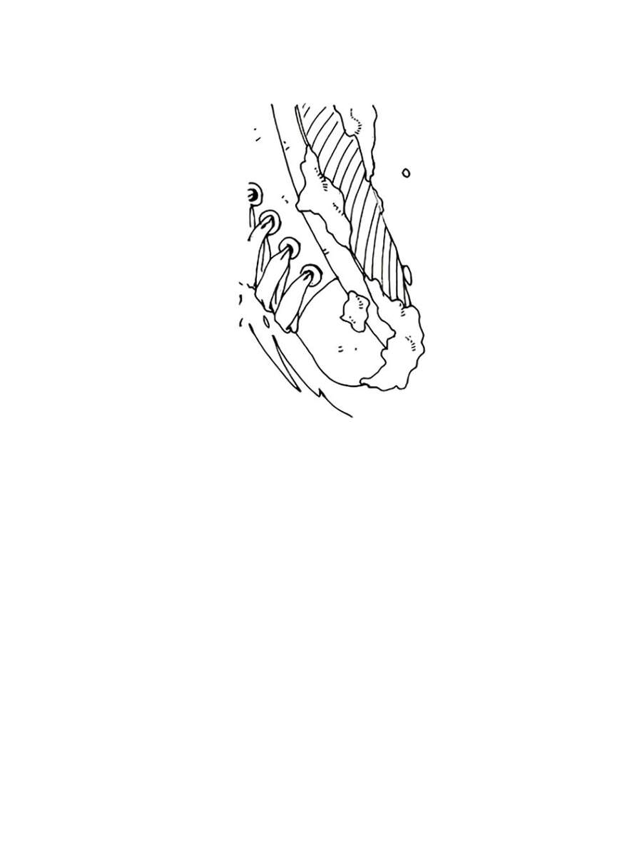 Chuyện Chết Chóc Chap 6 - Next Chap 7