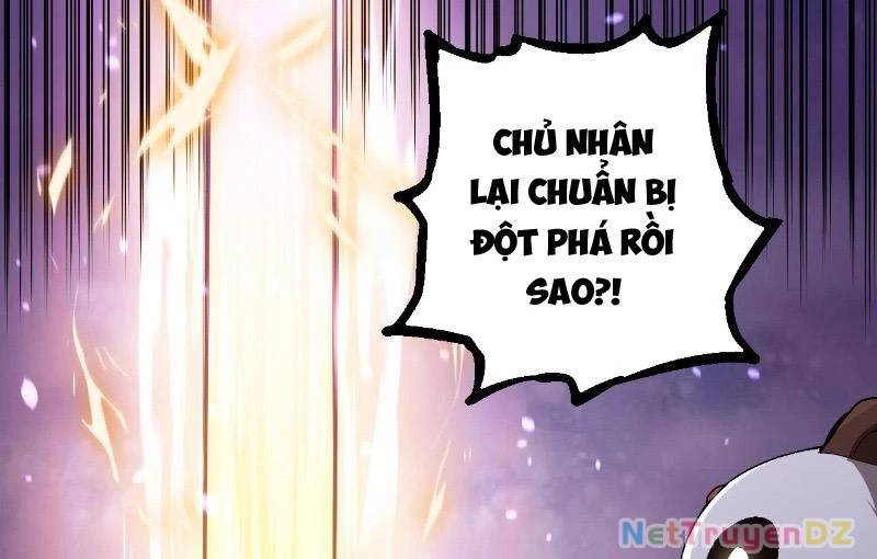 Chuyển Sinh Thành Liễu Đột Biến Chap 312 - Next Chap 313