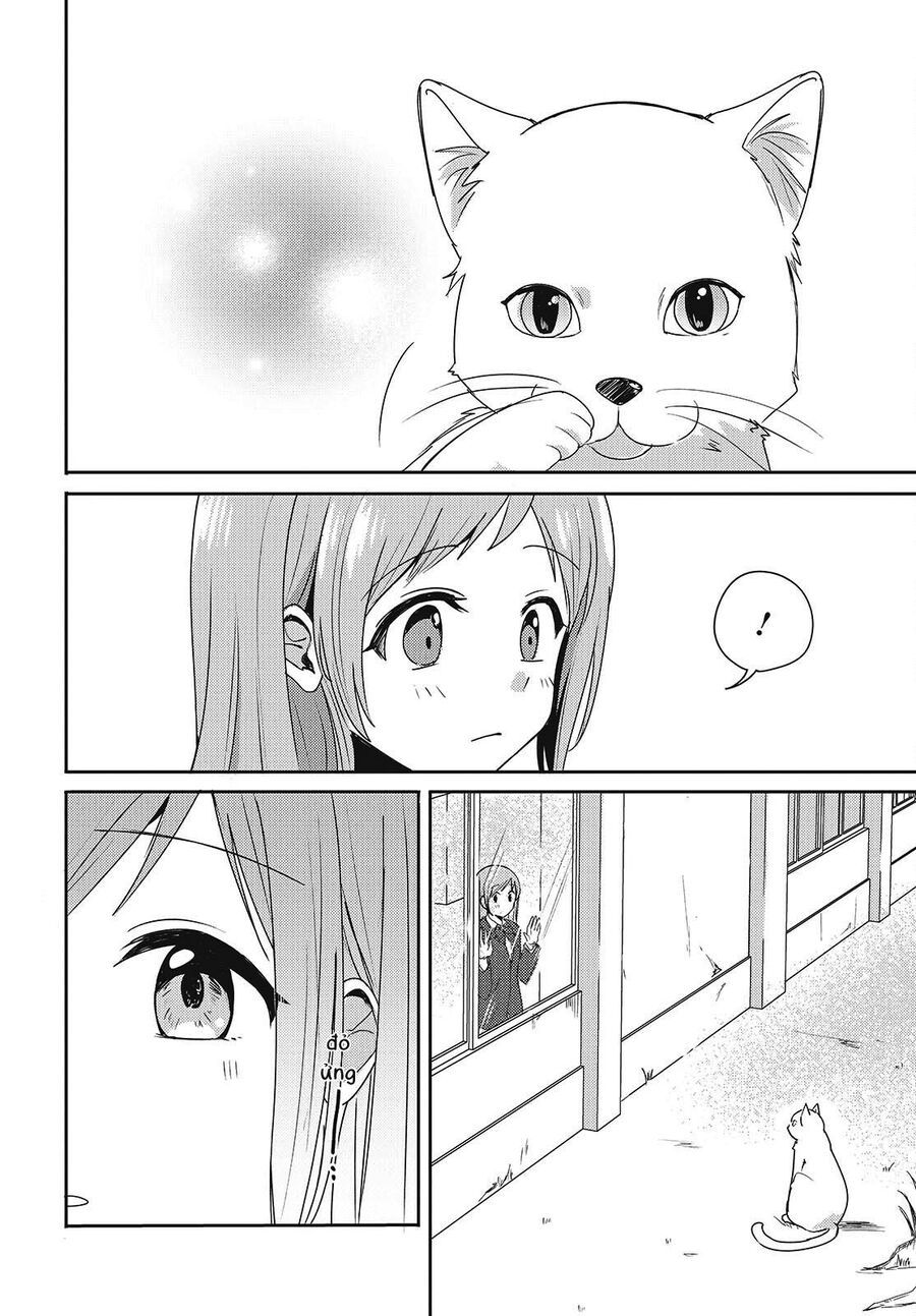 Cô Bản Thuở Nhỏ Kêu Meo Dưới Váy Của Tôi Chap 1 - Next Chap 2