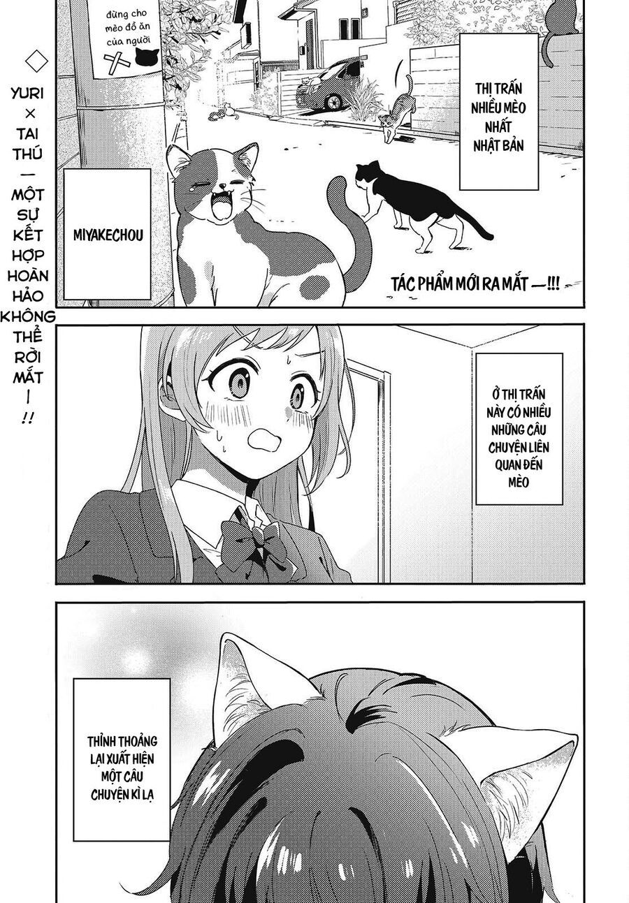 Cô Bản Thuở Nhỏ Kêu Meo Dưới Váy Của Tôi Chap 1 - Next Chap 2