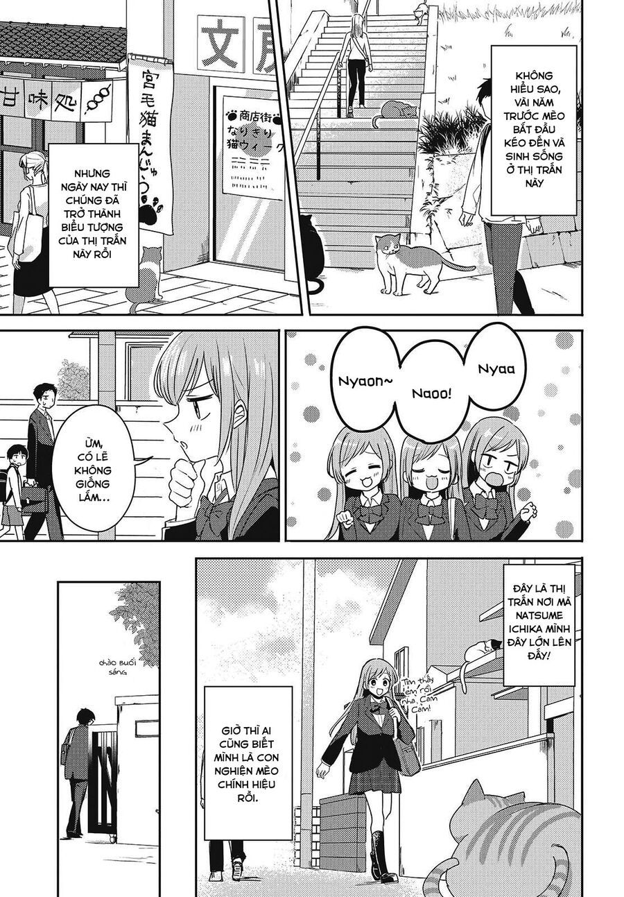 Cô Bản Thuở Nhỏ Kêu Meo Dưới Váy Của Tôi Chap 1 - Next Chap 2