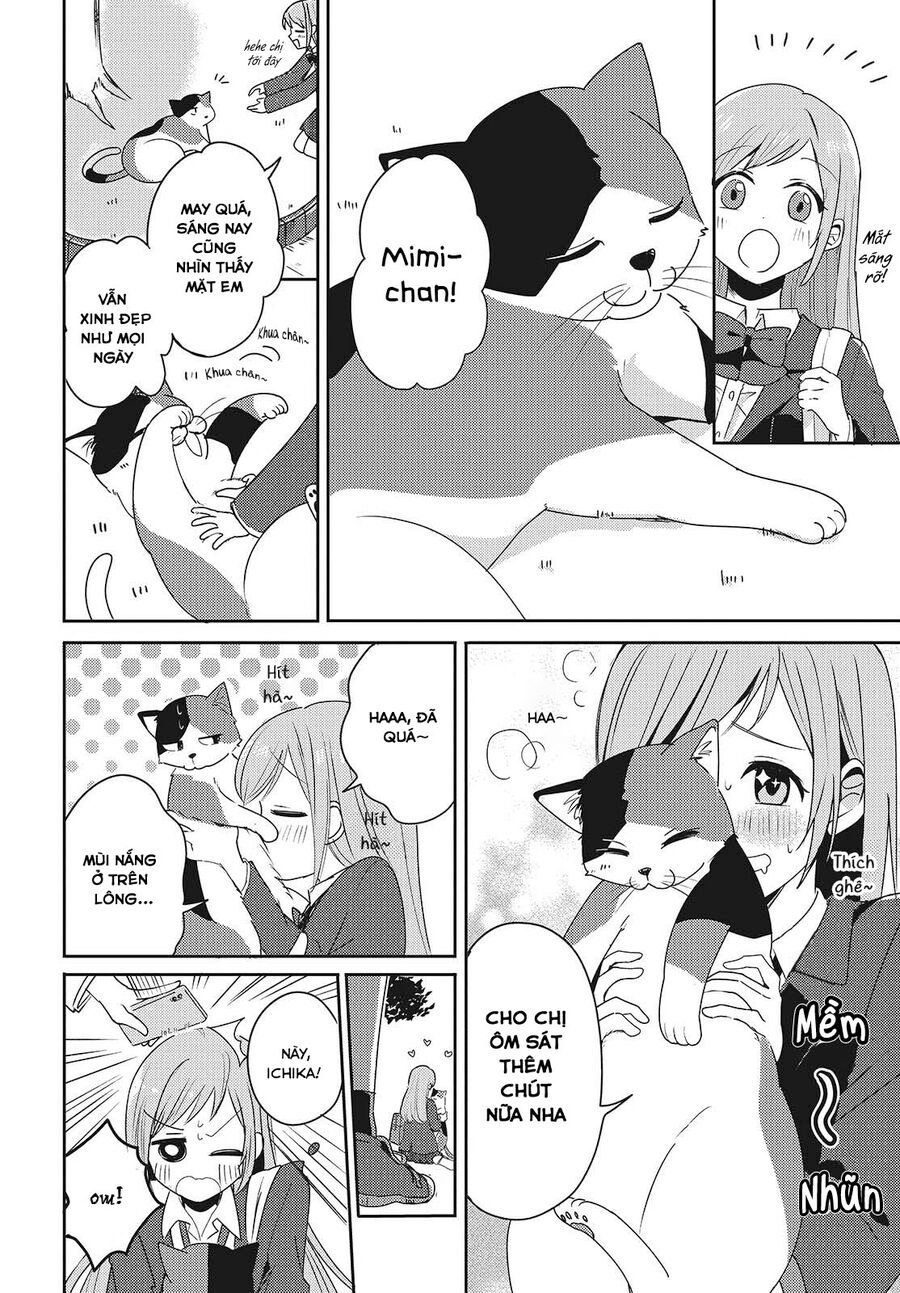 Cô Bản Thuở Nhỏ Kêu Meo Dưới Váy Của Tôi Chap 1 - Next Chap 2
