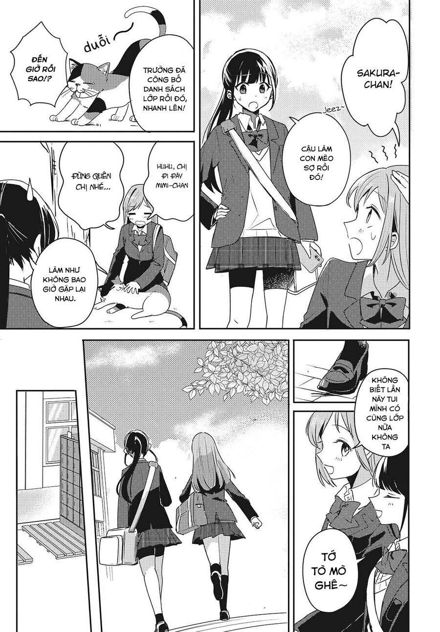 Cô Bản Thuở Nhỏ Kêu Meo Dưới Váy Của Tôi Chap 1 - Next Chap 2