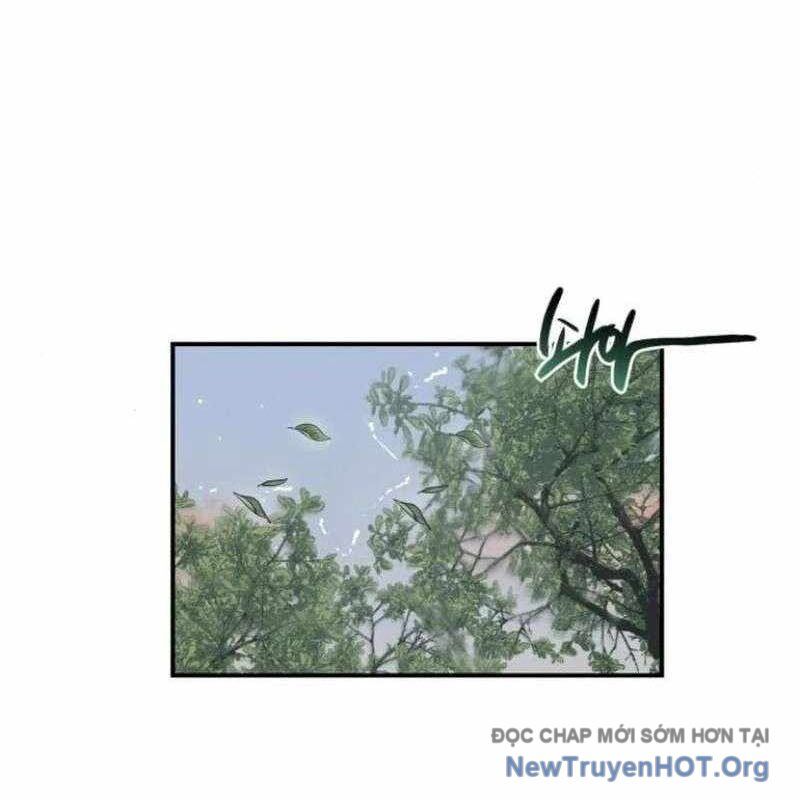Có Lẽ Là Vô Địch Chap 39 - Next Chap 40