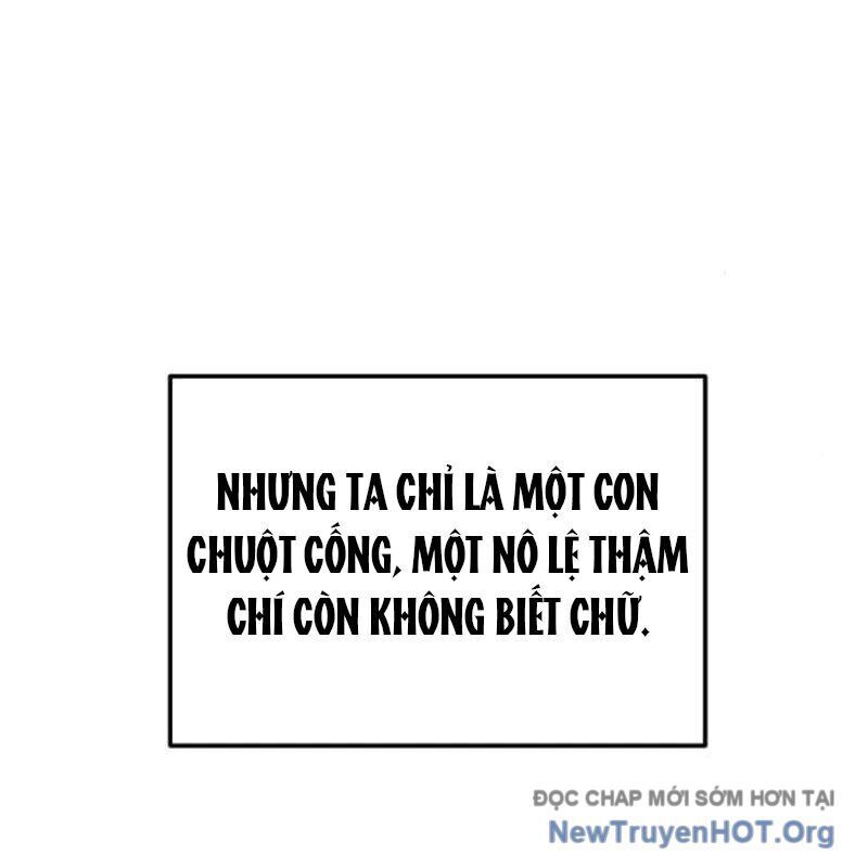 Có Lẽ Là Vô Địch Chap 40 - Next Chap 41