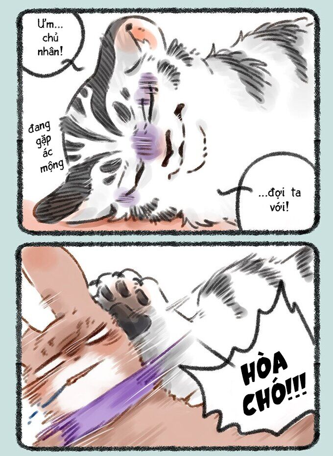 Có Linh Thú Chap 72 - Next Chap 73