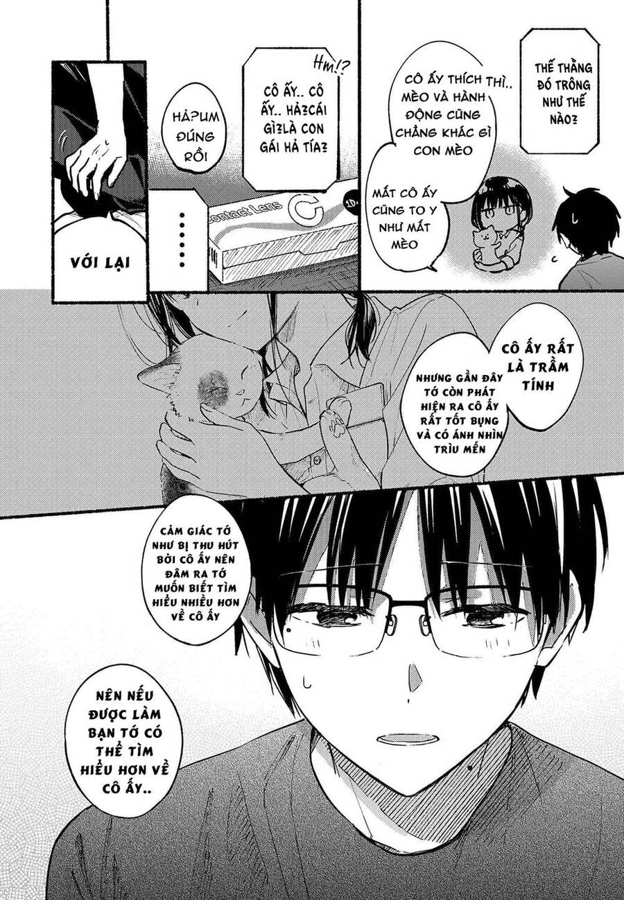 Cô Nàng Mèo Ngủ Gật Và Chàng Trai Hướng Nội Chap 12 - Next Chap 13