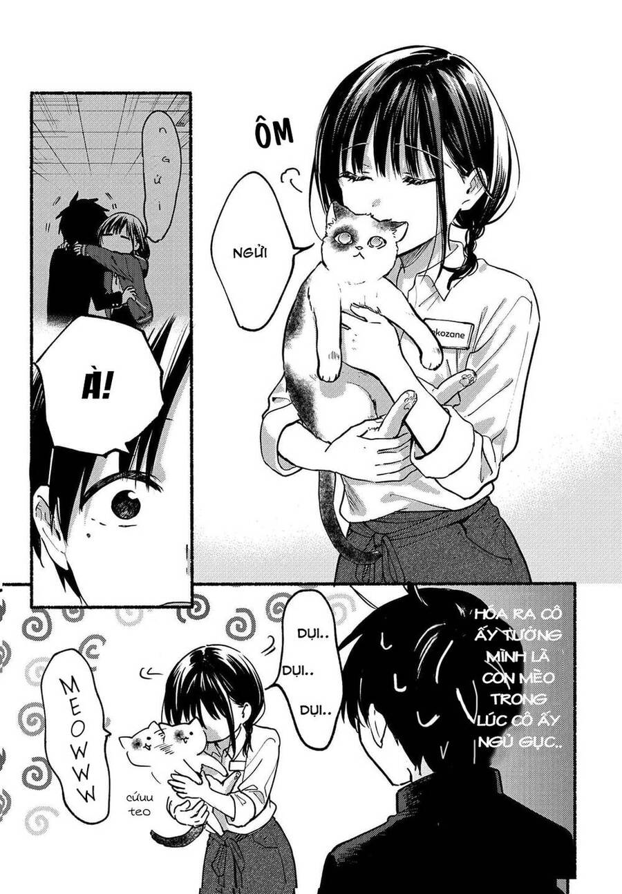 Cô Nàng Mèo Ngủ Gật Và Chàng Trai Hướng Nội Chap 12 - Next Chap 13