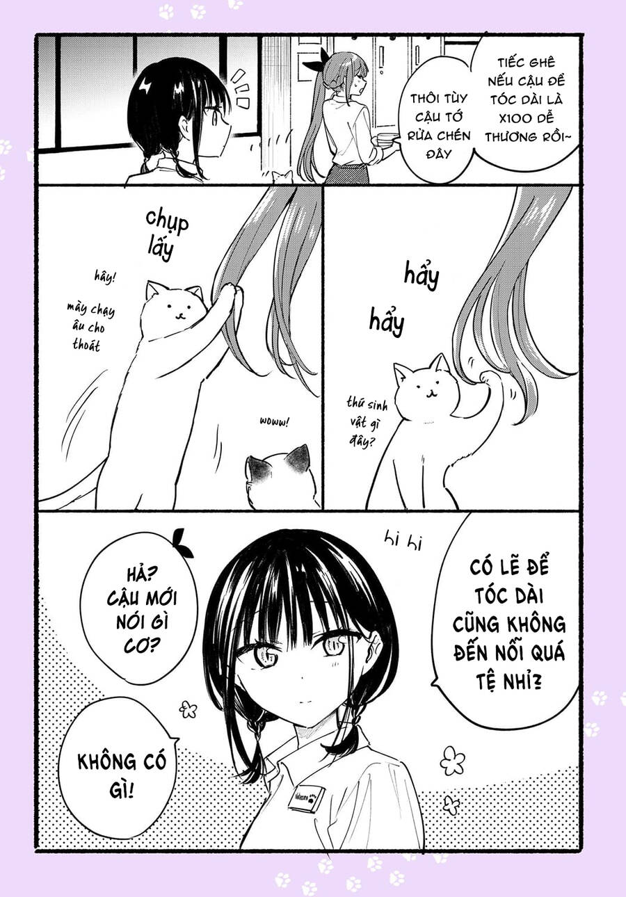 Cô Nàng Mèo Ngủ Gật Và Chàng Trai Hướng Nội Chap 125 - Next Chap 126