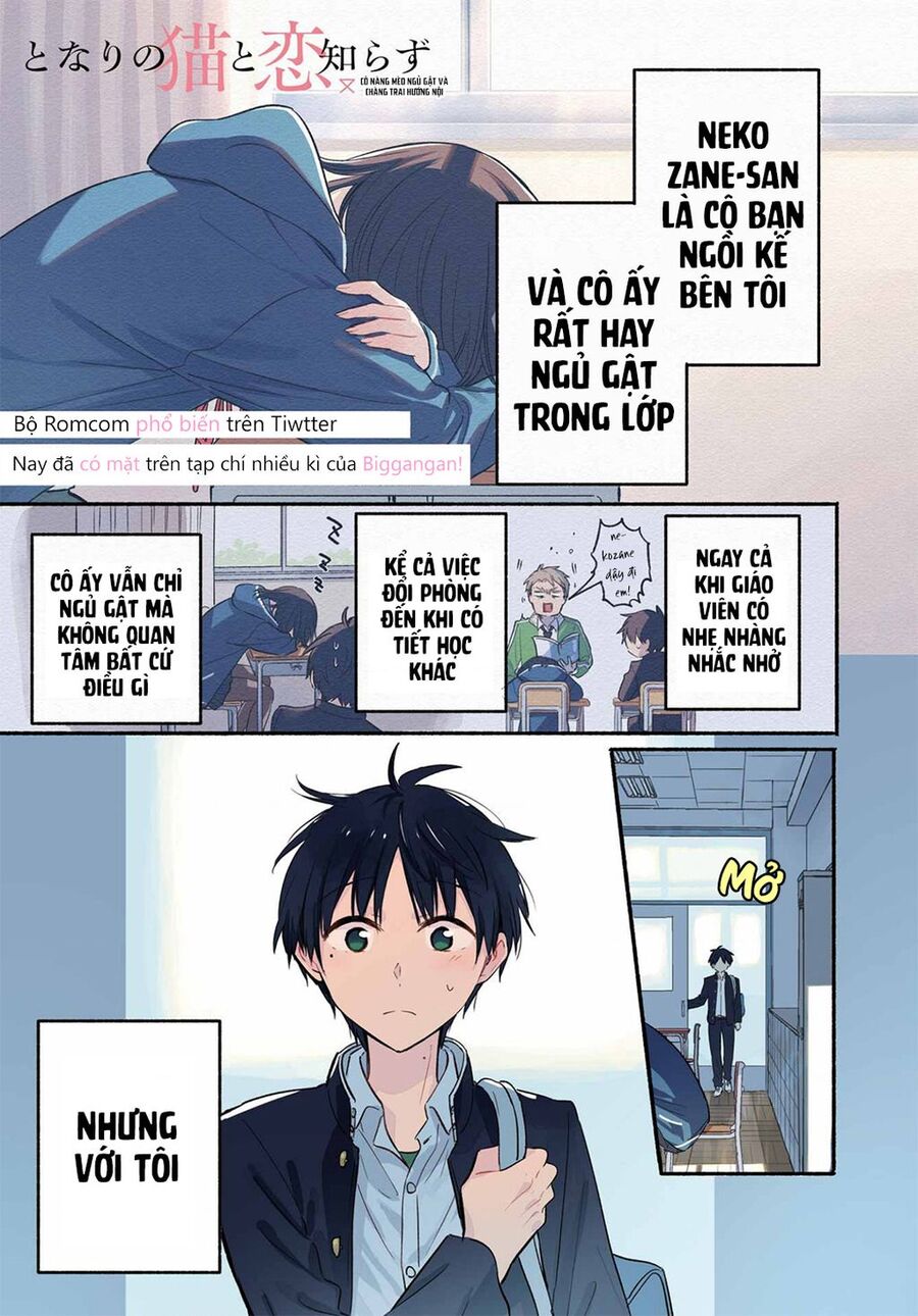 Cô Nàng Mèo Ngủ Gật Và Chàng Trai Hướng Nội Chap 14 - Next Chap 15