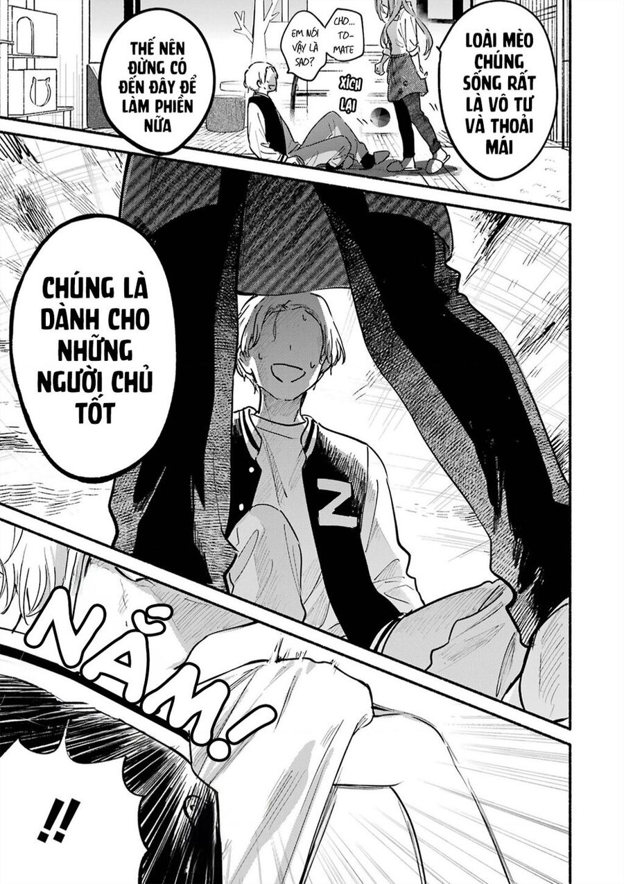 Cô Nàng Mèo Ngủ Gật Và Chàng Trai Hướng Nội Chap 15 - Next Chap 16