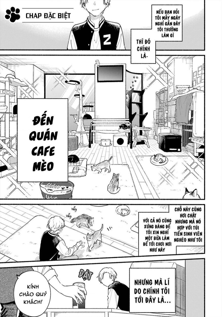 Cô Nàng Mèo Ngủ Gật Và Chàng Trai Hướng Nội Chap 15 - Next Chap 16