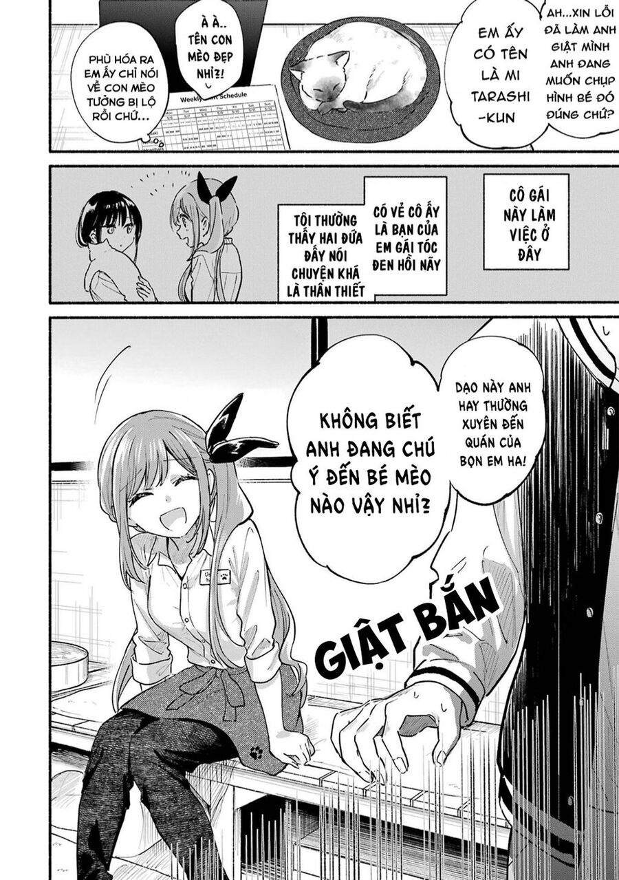Cô Nàng Mèo Ngủ Gật Và Chàng Trai Hướng Nội Chap 15 - Next Chap 16