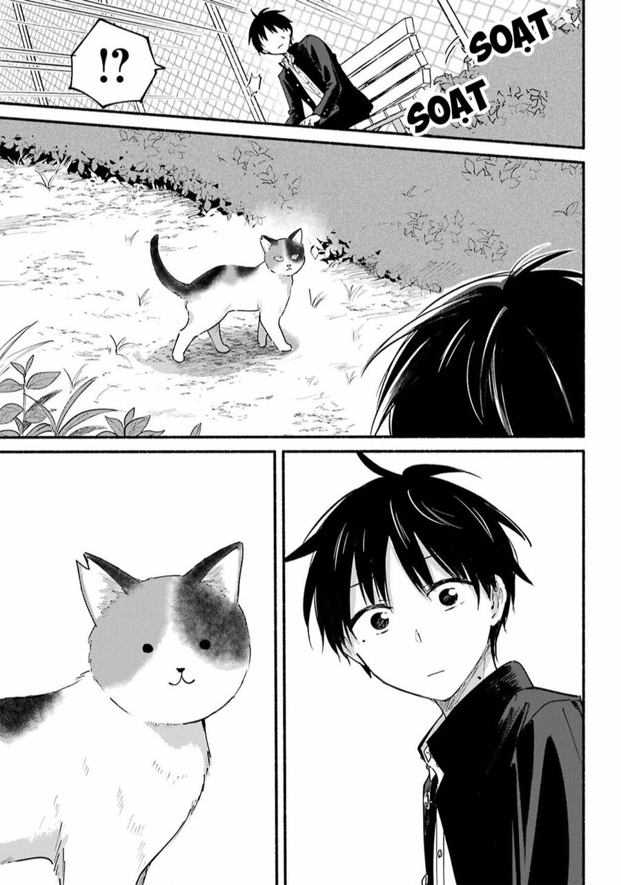 Cô Nàng Mèo Ngủ Gật Và Chàng Trai Hướng Nội Chap 16 - Next Chap 17