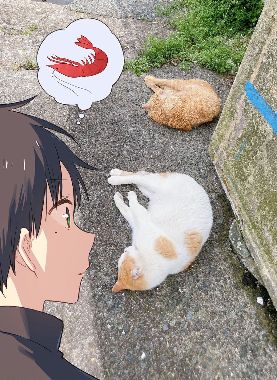 Cô Nàng Mèo Ngủ Gật Và Chàng Trai Hướng Nội Chap 16 - Next Chap 17
