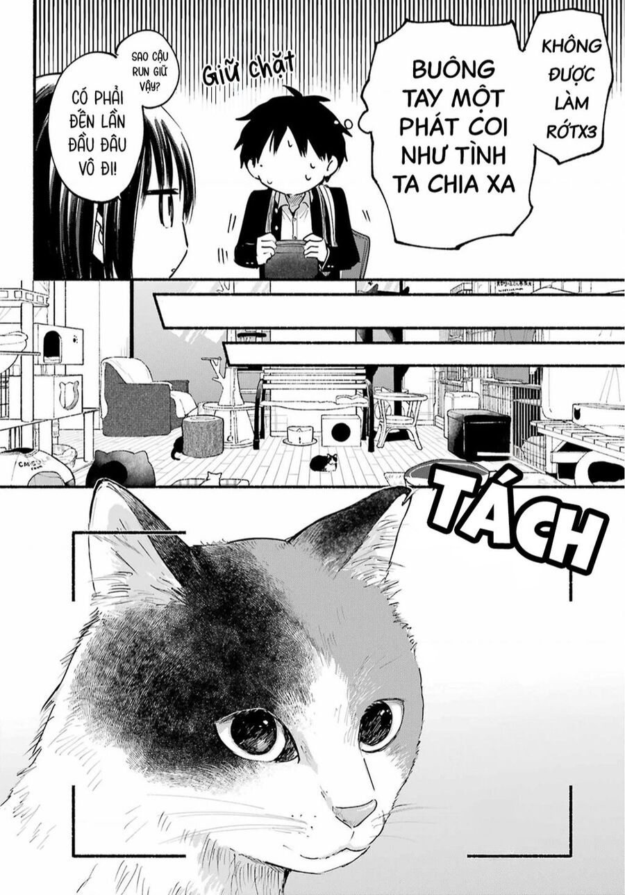 Cô Nàng Mèo Ngủ Gật Và Chàng Trai Hướng Nội Chap 18 - Next Chap 19