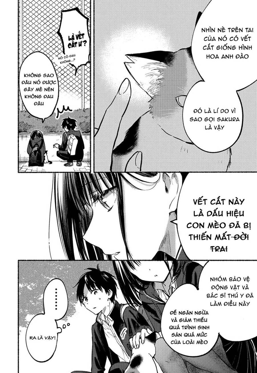 Cô Nàng Mèo Ngủ Gật Và Chàng Trai Hướng Nội Chap 2 - Next Chap 3