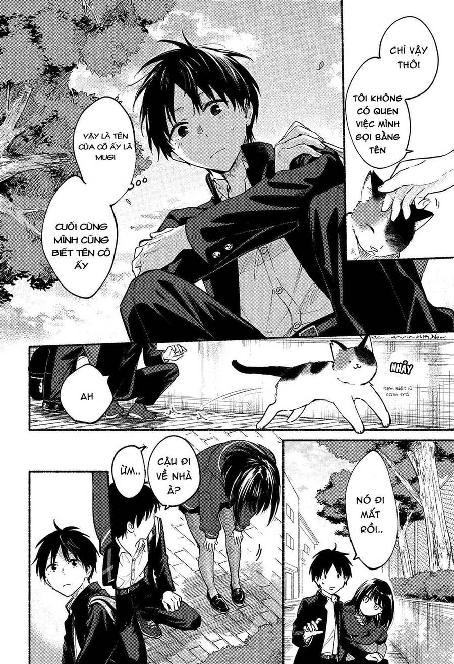 Cô Nàng Mèo Ngủ Gật Và Chàng Trai Hướng Nội Chap 2 - Next Chap 3