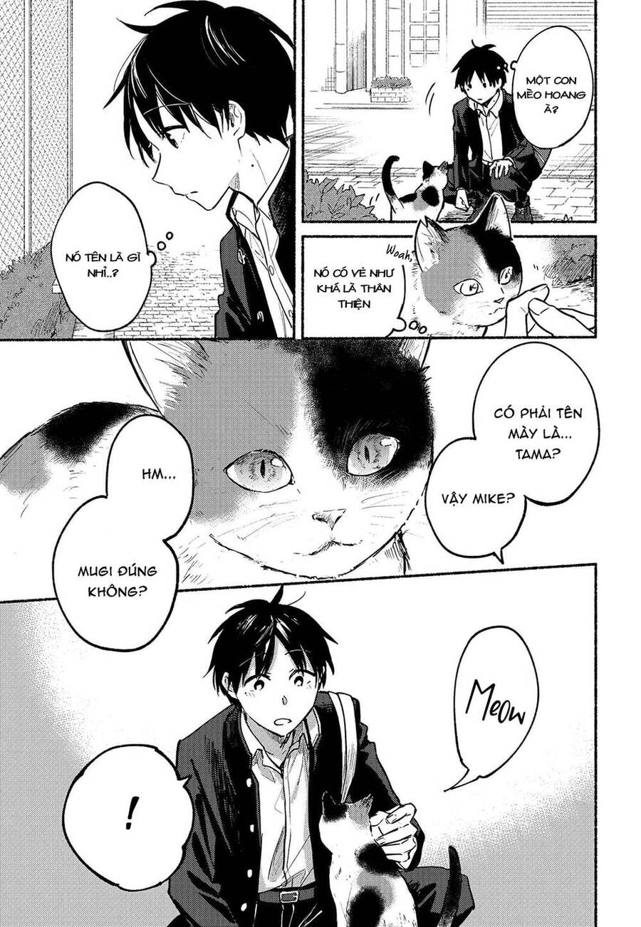 Cô Nàng Mèo Ngủ Gật Và Chàng Trai Hướng Nội Chap 2 - Next Chap 3