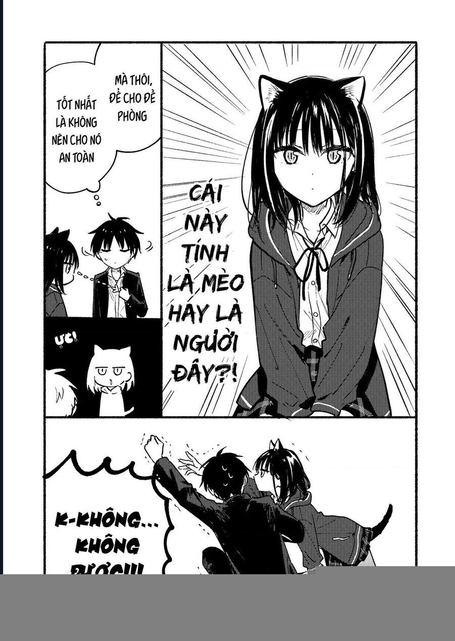 Cô Nàng Mèo Ngủ Gật Và Chàng Trai Hướng Nội Chap 255 - Next Chap 256