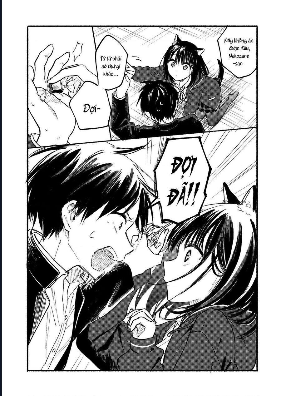 Cô Nàng Mèo Ngủ Gật Và Chàng Trai Hướng Nội Chap 255 - Next Chap 256