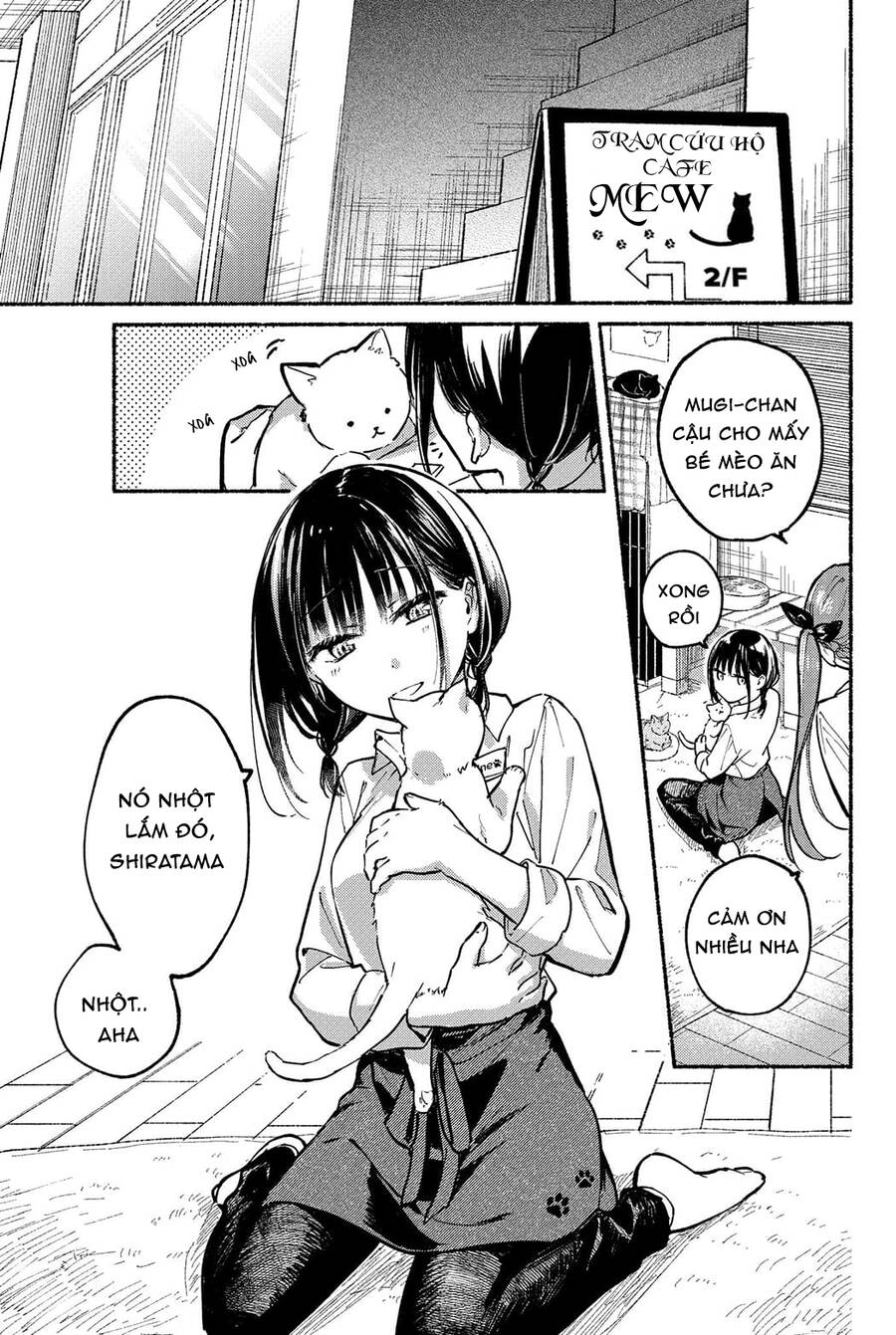 Cô Nàng Mèo Ngủ Gật Và Chàng Trai Hướng Nội Chap 5 - Next Chap 6