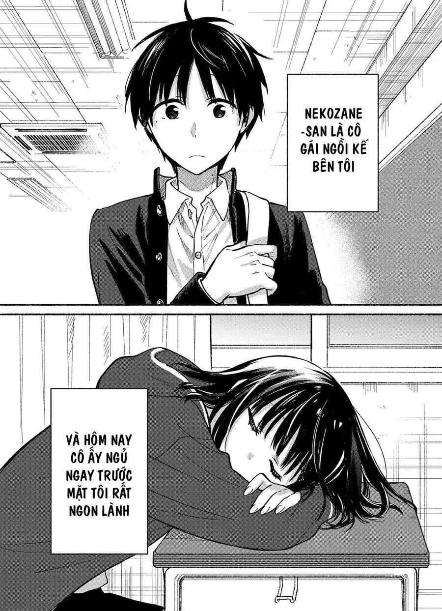 Cô Nàng Mèo Ngủ Gật Và Chàng Trai Hướng Nội Chap 7 - Next Chap 8