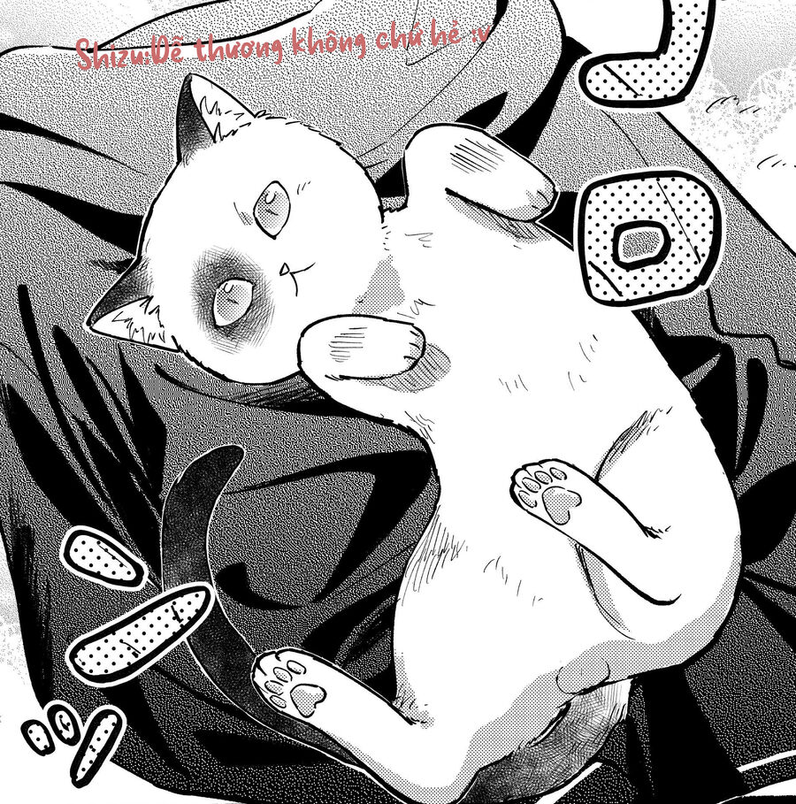 Cô Nàng Mèo Ngủ Gật Và Chàng Trai Hướng Nội Chap 8 - Next Chap 9
