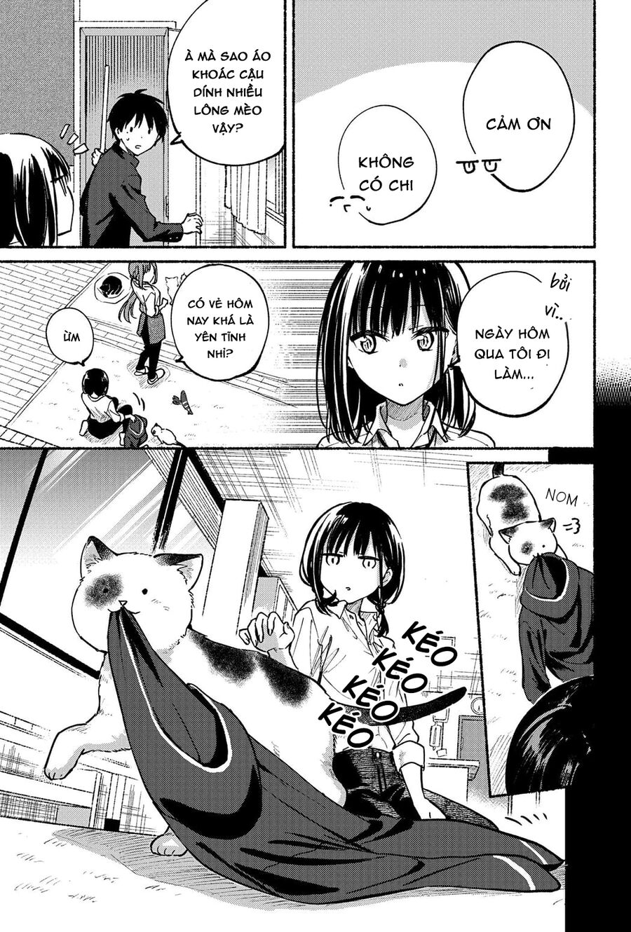 Cô Nàng Mèo Ngủ Gật Và Chàng Trai Hướng Nội Chap 8 - Next Chap 9