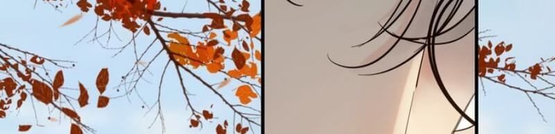 Cô Vợ Hợp Đồng Bỏ Trốn Của Tổng Giám Đốc Chap 205 - Next Chap 206