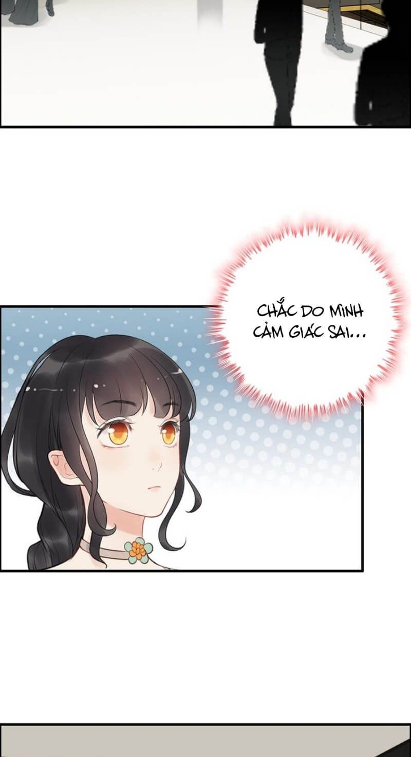 Cô Vợ Hợp Đồng Bỏ Trốn Của Tổng Giám Đốc Chap 206 - Next Chap 207