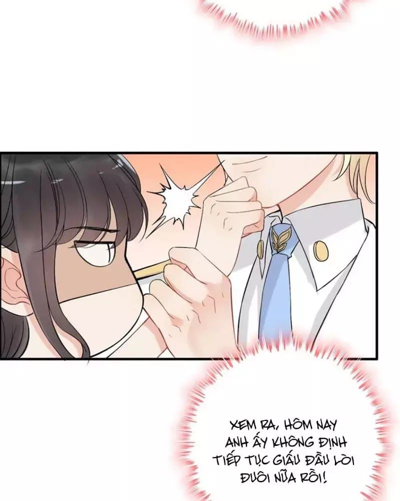 Cô Vợ Hợp Đồng Bỏ Trốn Của Tổng Giám Đốc Chap 219 - Next Chap 220
