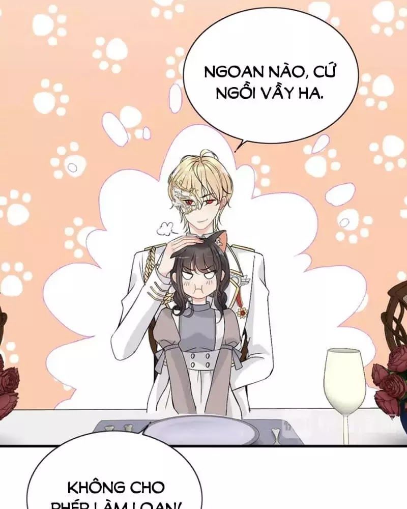 Cô Vợ Hợp Đồng Bỏ Trốn Của Tổng Giám Đốc Chap 219 - Next Chap 220