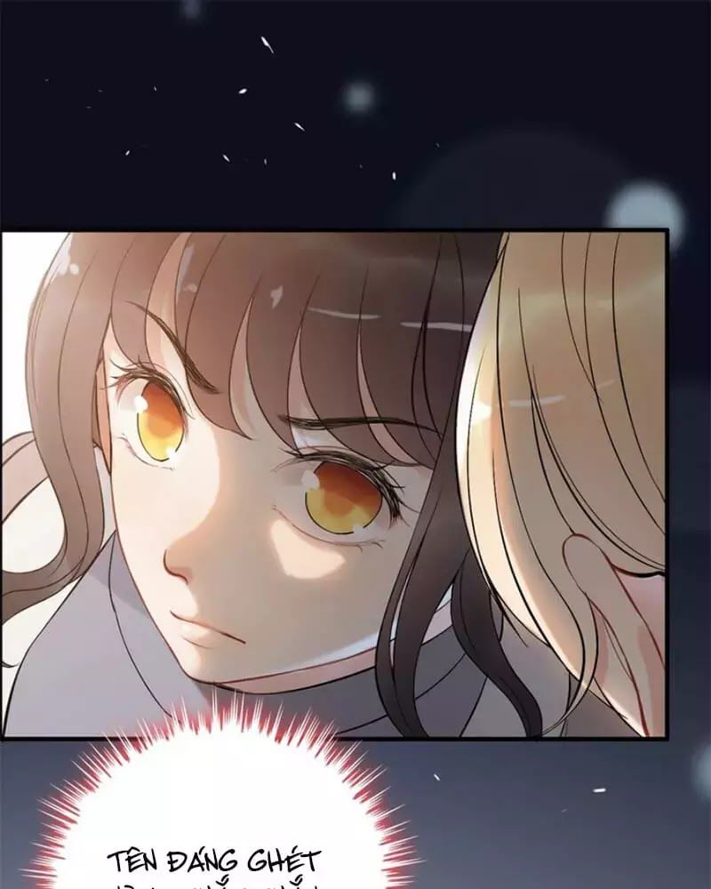 Cô Vợ Hợp Đồng Bỏ Trốn Của Tổng Giám Đốc Chap 219 - Next Chap 220