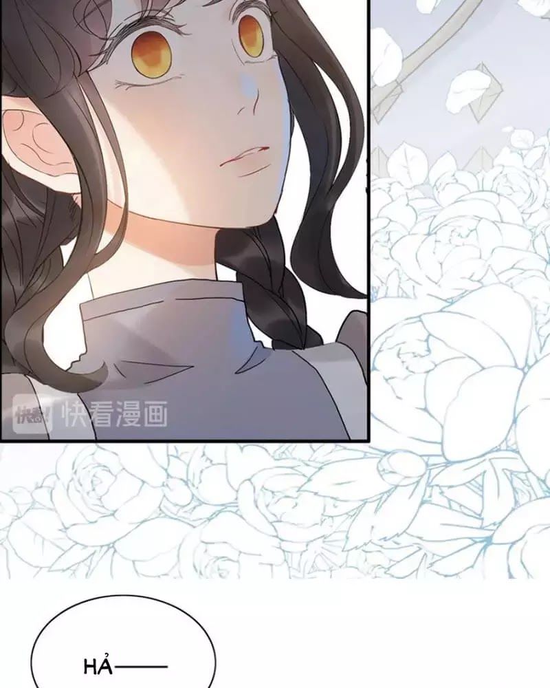 Cô Vợ Hợp Đồng Bỏ Trốn Của Tổng Giám Đốc Chap 219 - Next Chap 220