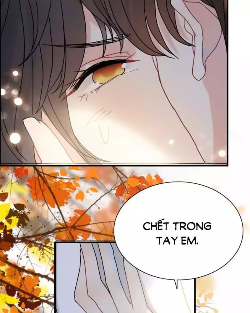 Cô Vợ Hợp Đồng Bỏ Trốn Của Tổng Giám Đốc Chap 219 - Next Chap 220