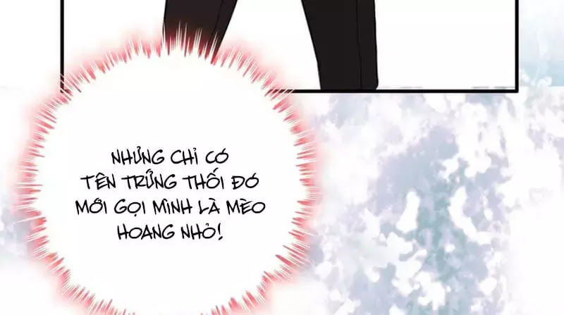 Cô Vợ Hợp Đồng Bỏ Trốn Của Tổng Giám Đốc Chap 219 - Next Chap 220