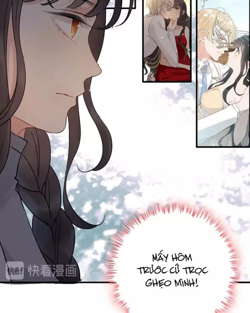 Cô Vợ Hợp Đồng Bỏ Trốn Của Tổng Giám Đốc Chap 219 - Next Chap 220