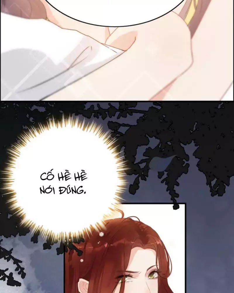 Cô Vợ Hợp Đồng Bỏ Trốn Của Tổng Giám Đốc Chap 221 - Next Chap 222