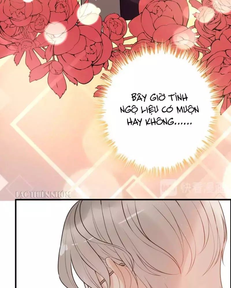 Cô Vợ Hợp Đồng Bỏ Trốn Của Tổng Giám Đốc Chap 221 - Next Chap 222