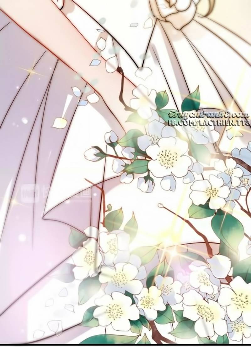 Cô Vợ Hợp Đồng Bỏ Trốn Của Tổng Giám Đốc Chap 31 - Next Chap 32