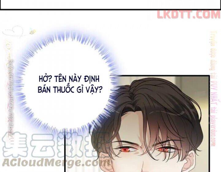 Cô Vợ Hợp Đồng Bỏ Trốn Của Tổng Giám Đốc Chap 339 - Next Chap 340
