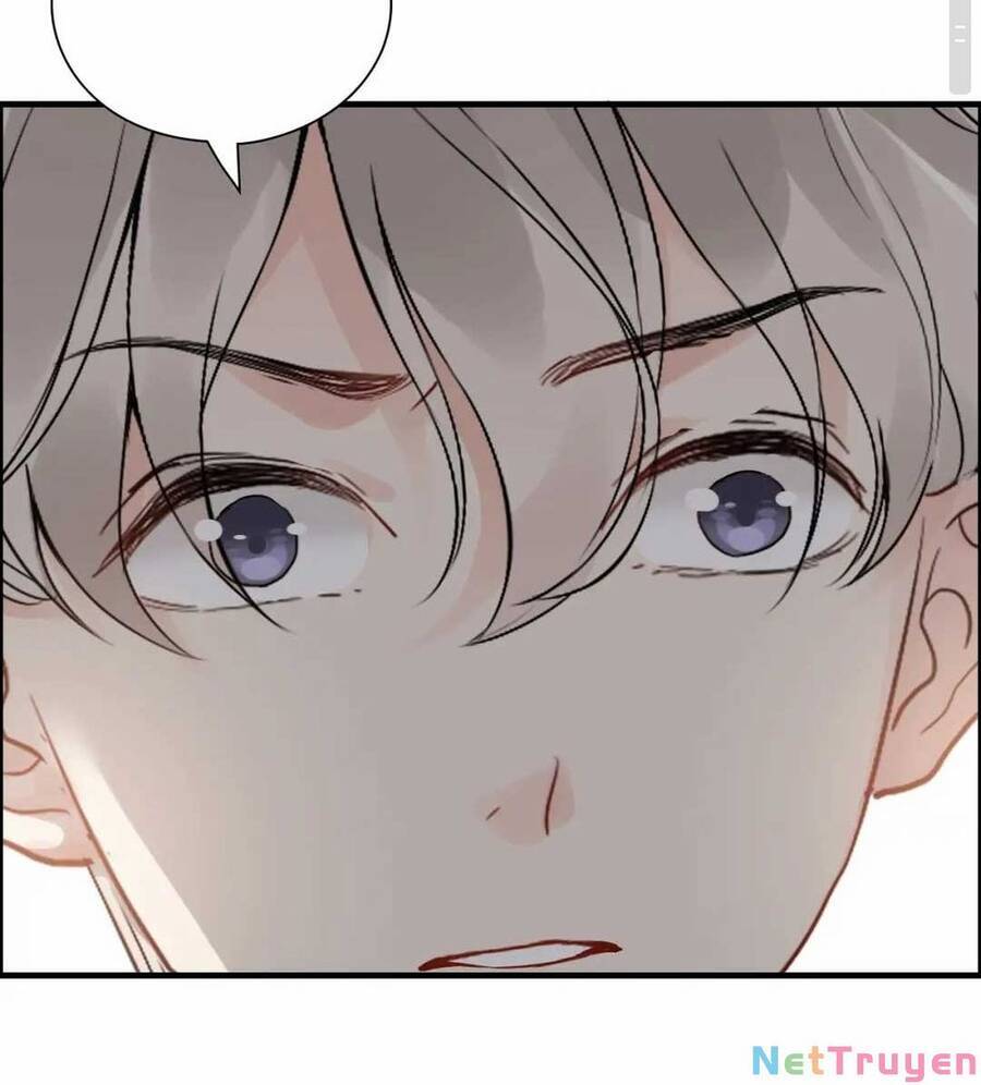 Cô Vợ Hợp Đồng Bỏ Trốn Của Tổng Giám Đốc Chap 4352 - Next Chap 4353
