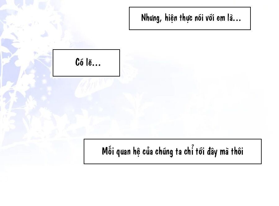 Cô Vợ Hợp Đồng Lạnh Lùng Không Dễ Đụng Đâu Chap 0 - Next Chap 1