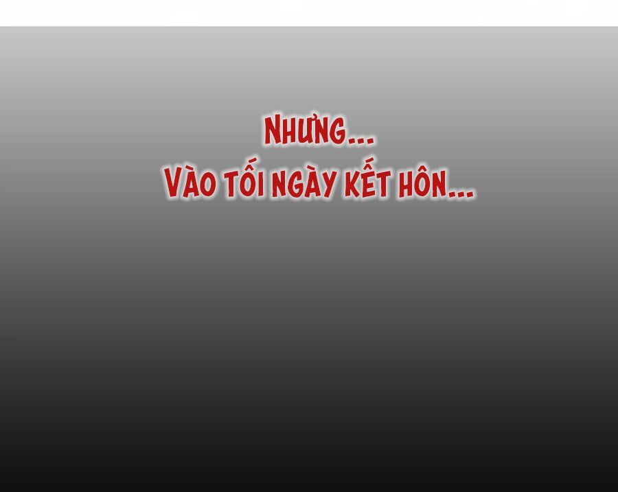 Cô Vợ Hợp Đồng Lạnh Lùng Không Dễ Đụng Đâu Chap 0 - Next Chap 1
