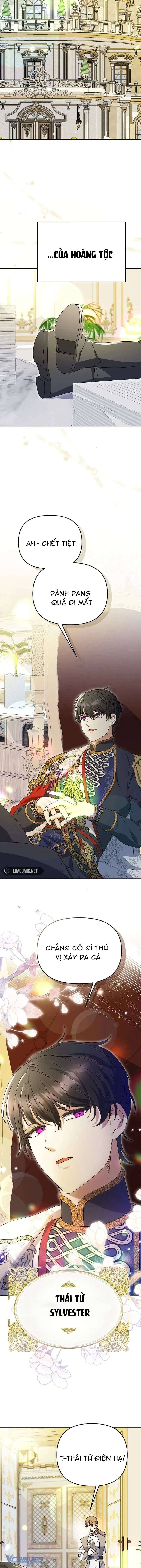 Cô Vợ Xấu Xí Của Công Tước Ám Muội Chap 14 - Next Chap 15