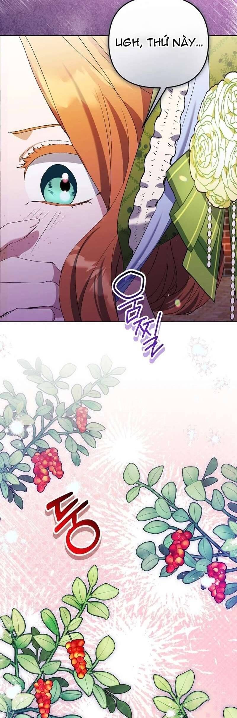 Cô Vợ Xấu Xí Của Công Tước Ám Muội Chap 27 - Next Chap 28