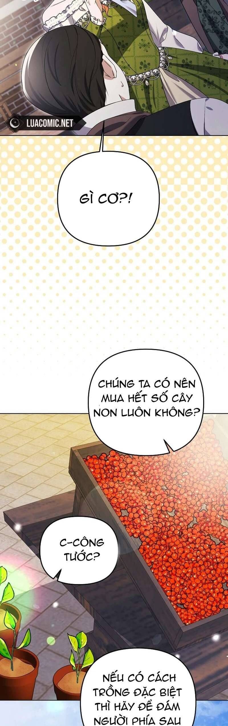 Cô Vợ Xấu Xí Của Công Tước Ám Muội Chap 27 - Next Chap 28